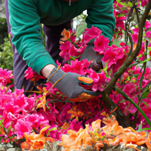 a gardener carefully pruning a vibrant j 512x512 13620309