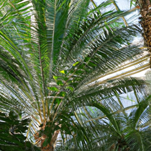 a lush atrium with shorter tropical palm 512x512 95905318