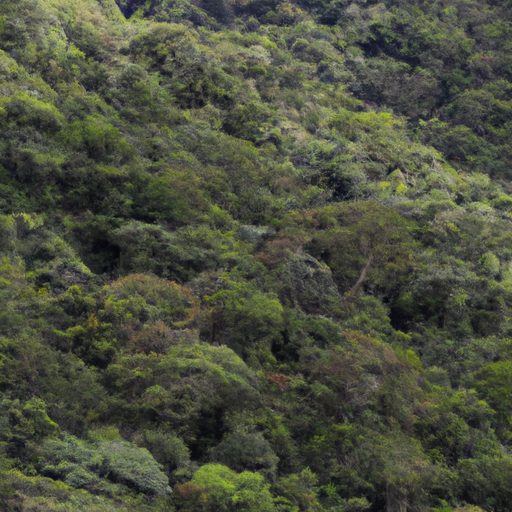 a lush coastal rainforest in brazil phot 512x512 88283551