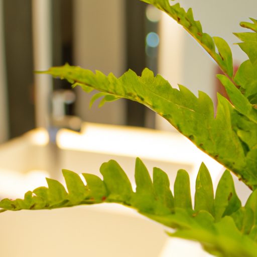 a lush green fern in a modern bathroom p 512x512 19466750