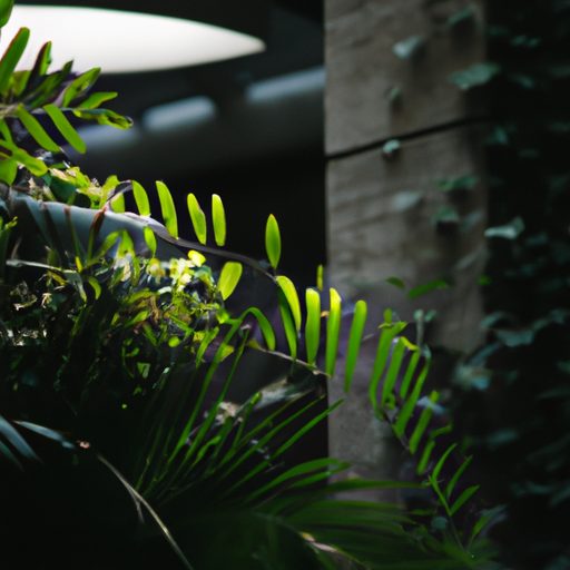 a lush green indoor jungle oasis photore 512x512 2433918