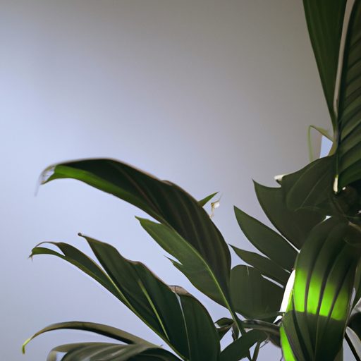a lush green indoor plant surrounded by 512x512 29385226