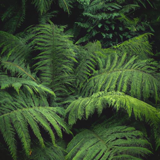 a lush green victorian fern oasis photor 512x512 76755609