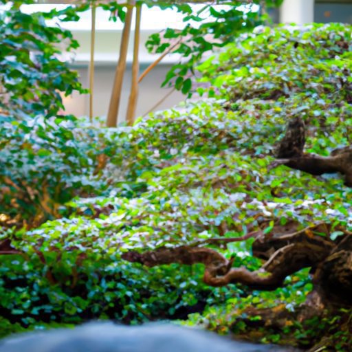 a lush indoor japanese banyan garden pho 512x512 73092810