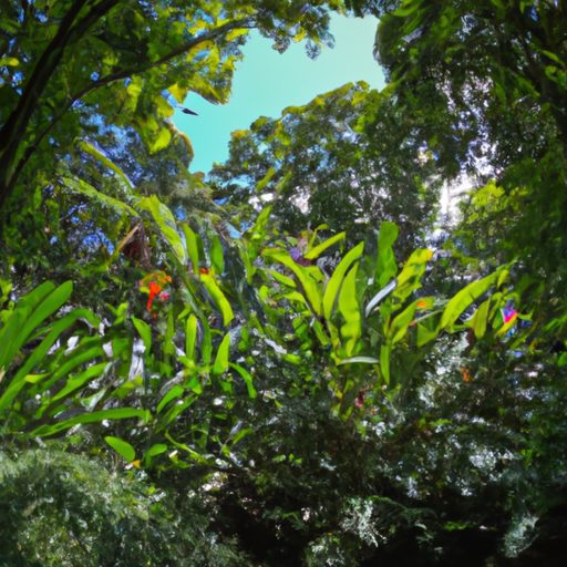 a lush rainforest with abundant strelitz 512x512 4296984