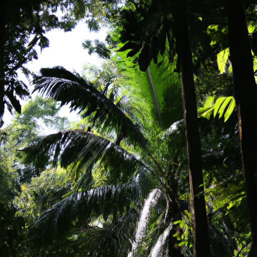 a lush sunlit tropical rainforest scene 512x512 45442953