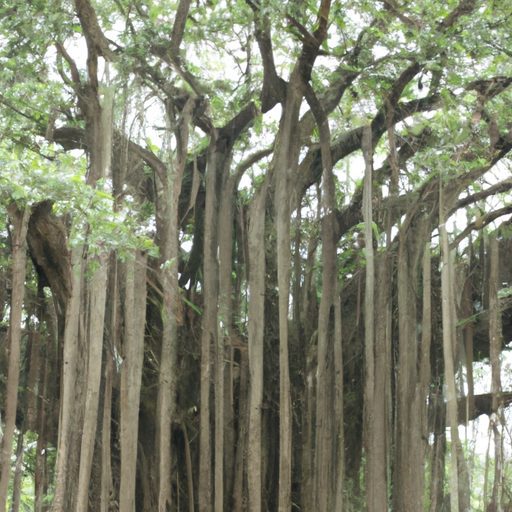 a majestic banyan tree towering graceful 512x512 59691307