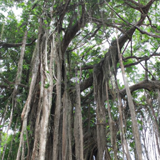a majestic banyan tree towering graceful 512x512 88099280