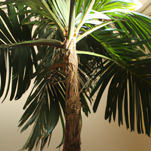 a majestic indoor palm tree with giant l 512x512 44087030