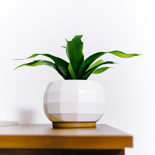 a minimalist white ceramic planter sitti 512x512 45437360