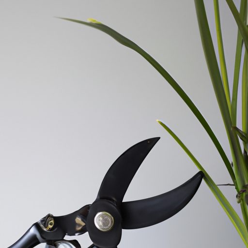 a pair of gardening scissors trimming va 512x512 45056775