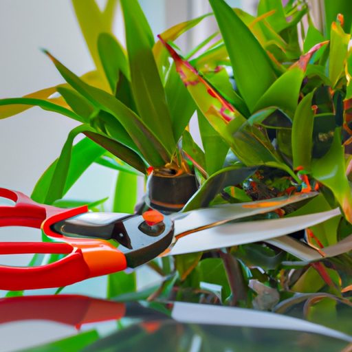 a pair of gardening scissors trimming va 512x512 73880146