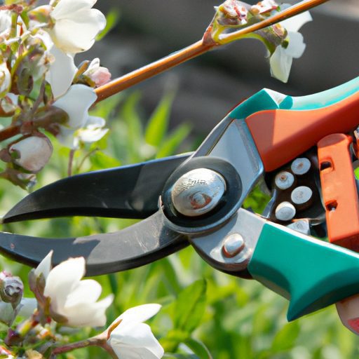 a pair of sharp pruning shears carefully 512x512 65611605