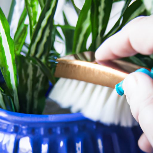 a person gently cleaning a self watering 512x512 47419174