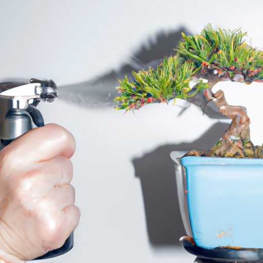 a person gently misting a bonsai tree wi 512x512 13471307