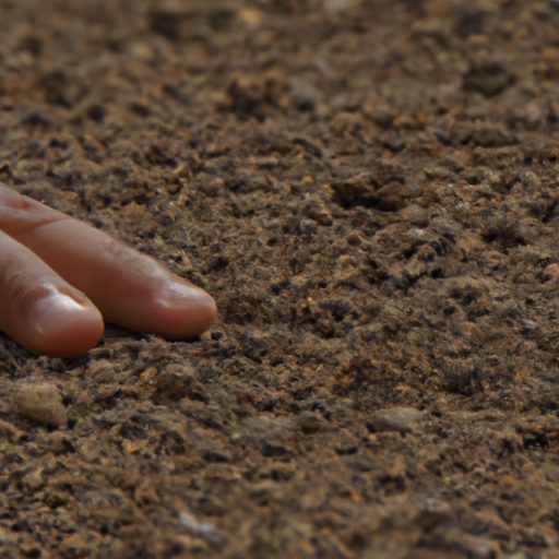 a persons finger touching dry soil photo 512x512 33048735