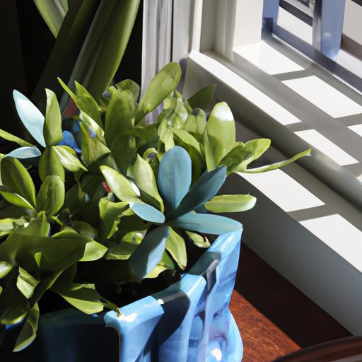 a photo of a vibrant blue ceramic plante 512x512 24022372