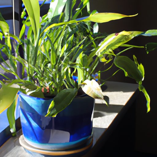 a photo of a vibrant blue ceramic plante 512x512 35820757