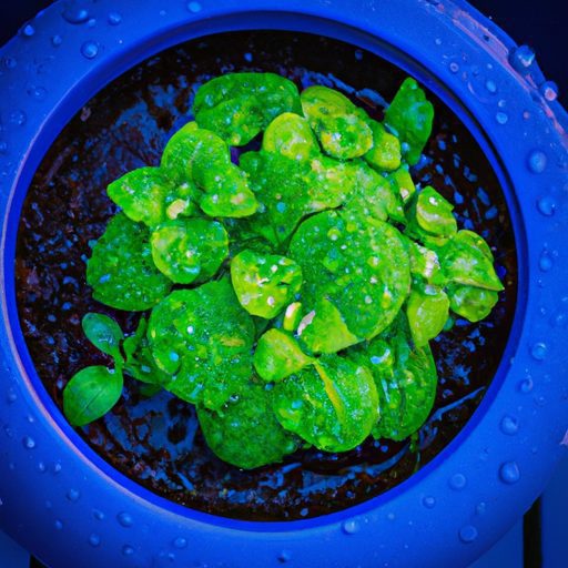 a round pot with vibrant green plants su 512x512 43156631