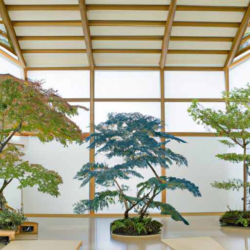a serene indoor oasis of japanese plants 512x512 39689791