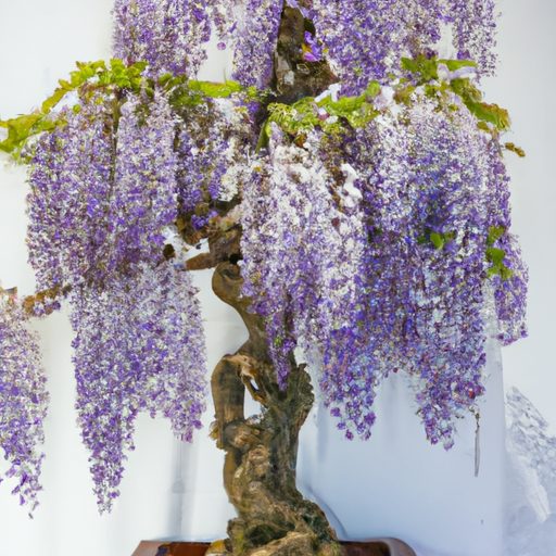 a small bonsai tree with cascading purpl 512x512 59510639