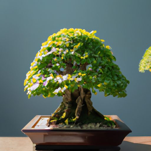 a small boxwood bonsai tree with meticul 512x512 48872108