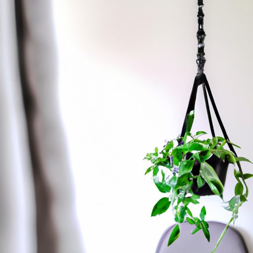 a small hanging plant in a macrame hange 512x512 17115624
