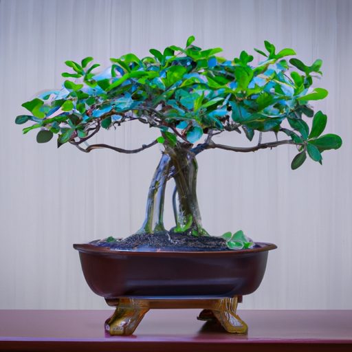 a small jade tree bonsai elegantly displ 512x512 5490260