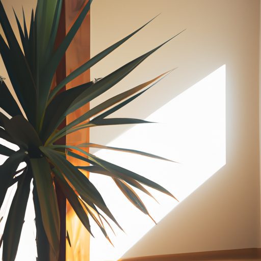a sunlit room with a tall lush yucca pla 512x512 77108382