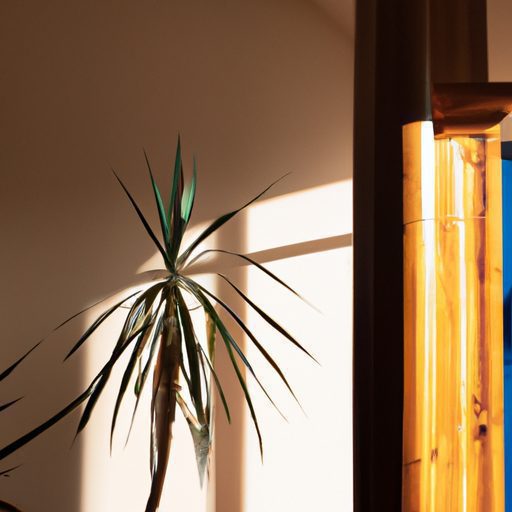 a sunlit room with a tall lush yucca pla 512x512 77744635