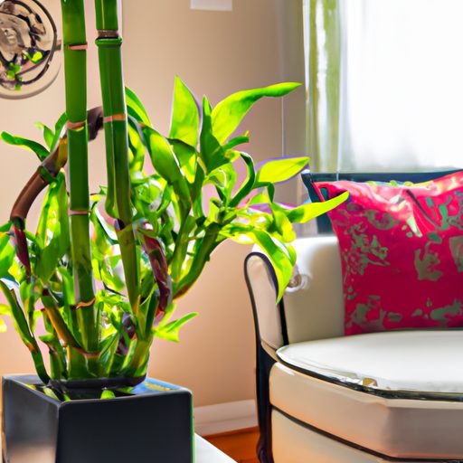 a vibrant and flourishing lucky bamboo p 512x512 67341726