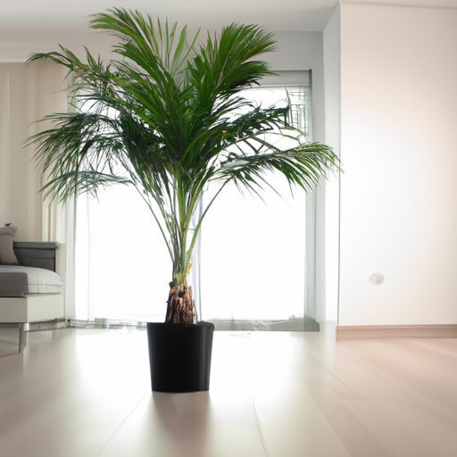 a vibrant areca palm in a sleek modern l 512x512 15263827
