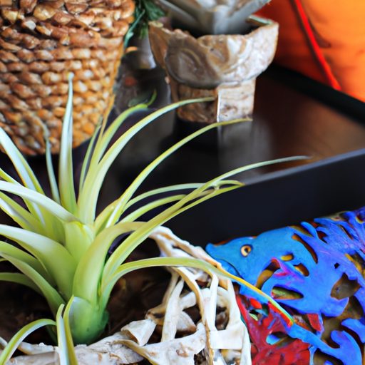 a vibrant array of air plants displayed 512x512 40865132