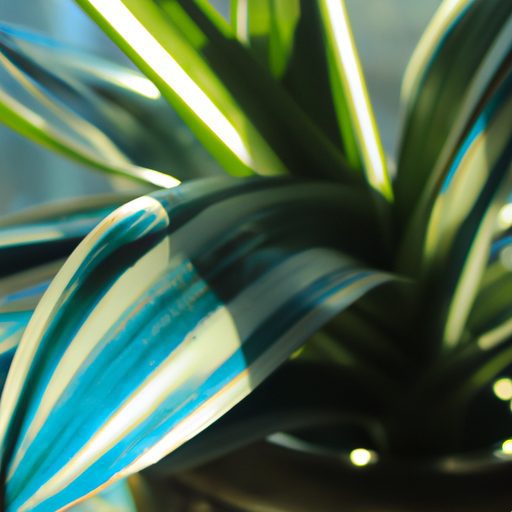 a vibrant blue indoor plant basking in t 512x512 35396857