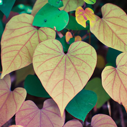 a vibrant cascade of heart shaped leaves 512x512 18096993