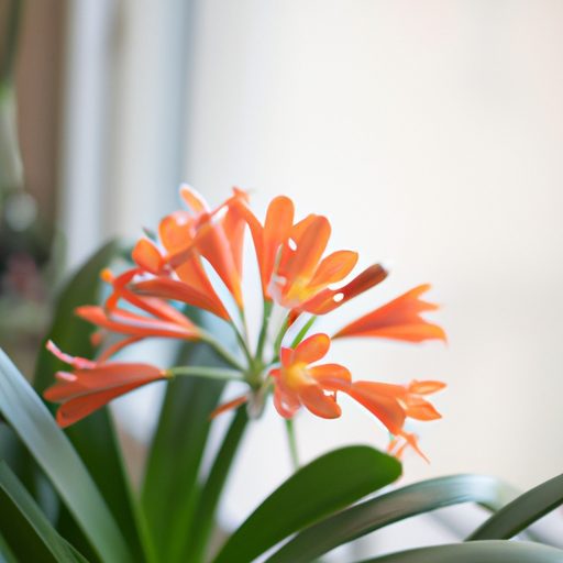 Unusual Indoor Bloomers for Winter Flower Power