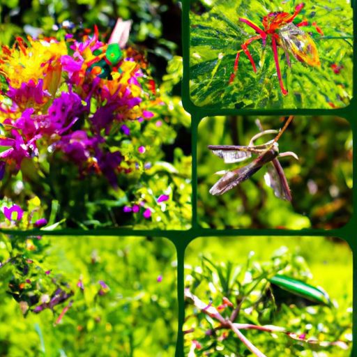 a vibrant collage of colorful insects po 512x512 82961078