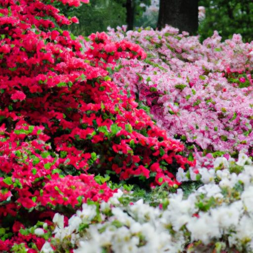a vibrant flower bed showcasing japanese 512x512 43411339