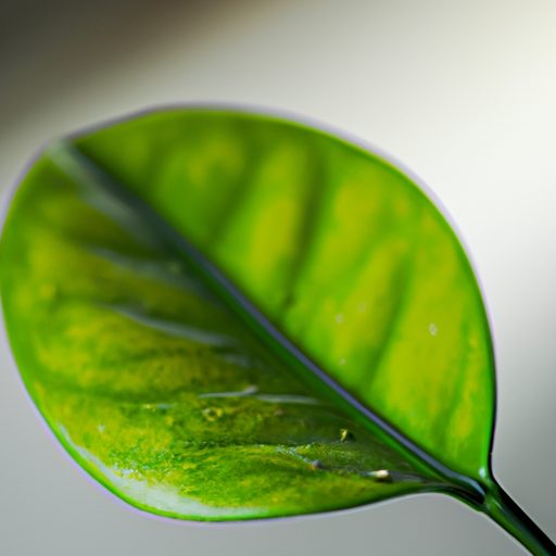 a vibrant green indoor plant leaf with s 512x512 57875640