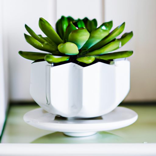 a vibrant green succulent in a white cer 512x512 35026764