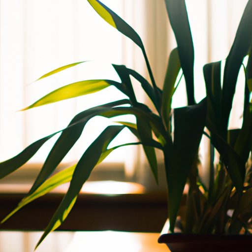 a vibrant indoor plant basking in sunlig 512x512 44138318