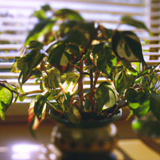 a vibrant indoor plant basking in sunlig 512x512 90332050