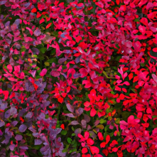 a vibrant red and green shrub photoreali 512x512 43975114