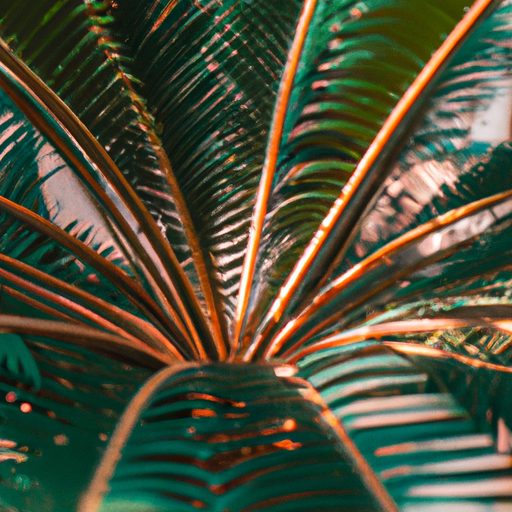 a vibrant sago palm basking in sunlight 512x512 58576571