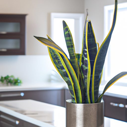 a vibrant snake plant brightening a mode 512x512 11837677