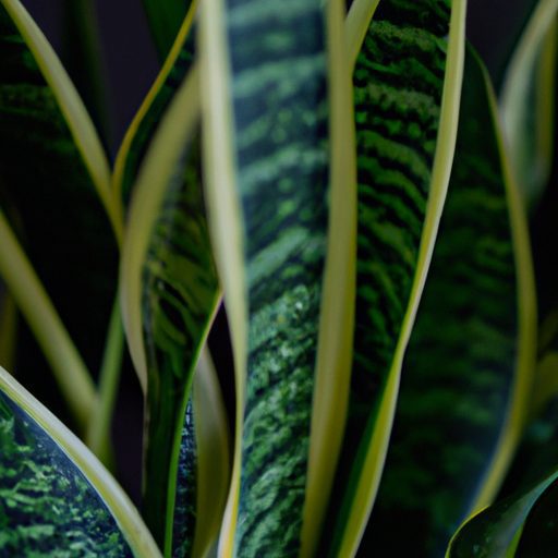 Low-Maintenance Indoor Plants That Thrive In Any Environment