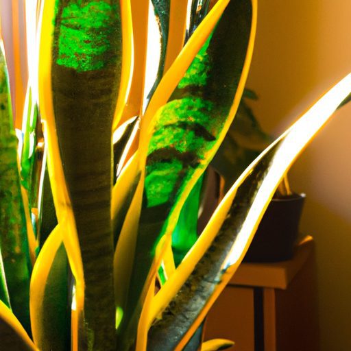 a vibrant snake plant with vibrant green 512x512 1439222