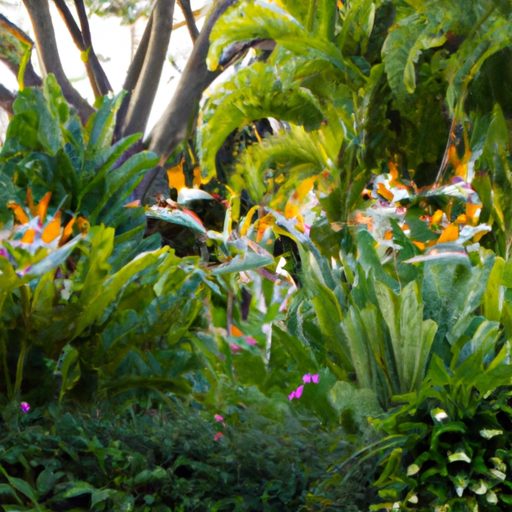 a vibrant tropical garden with towering 512x512 34895668