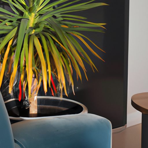 a vibrant yucca plant in a modern living 512x512 71060675