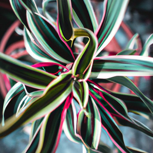 a vibrant zebra plant thriving photoreal 512x512 37925263
